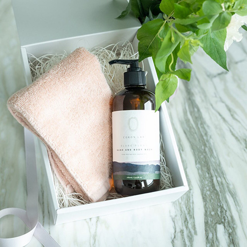 【BLANC PLUME】HAND & BODY WASH & towel