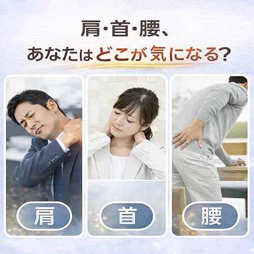 ガルバチップEX