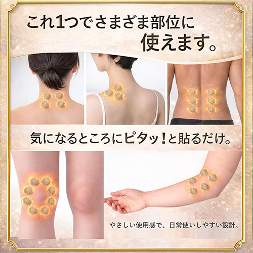 ガルバチップEX