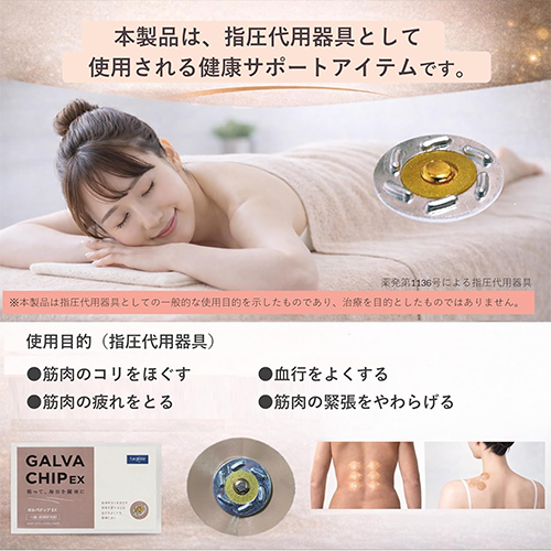 ガルバチップEX