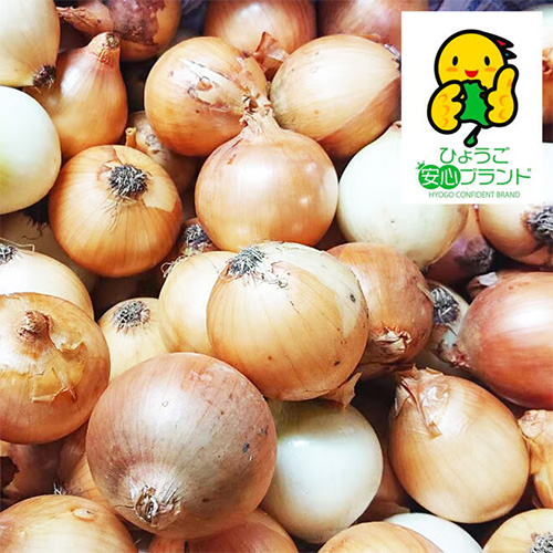 ぎょうさんたまねぎ天 