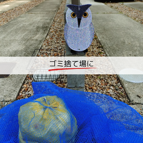 ゴミ捨て場に